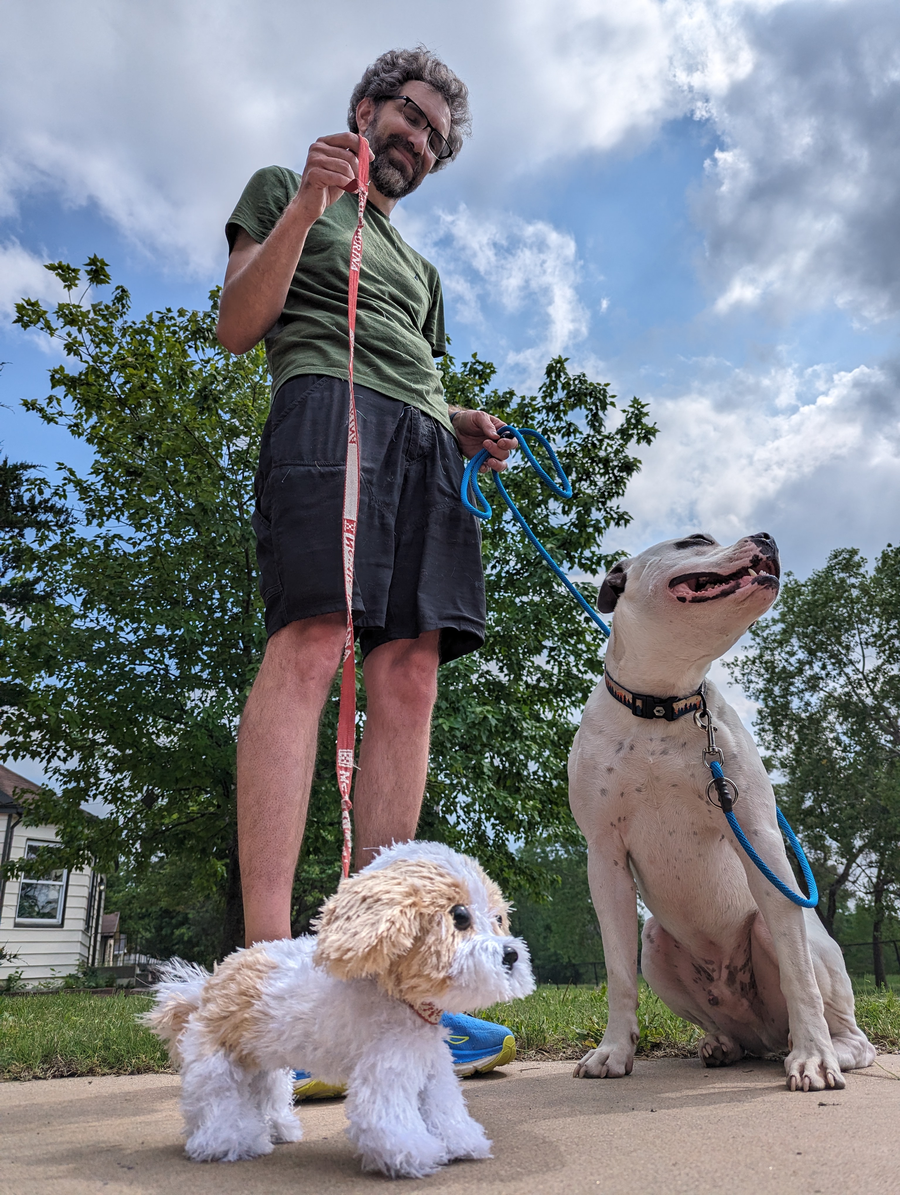 Turtle wanted to come, too.