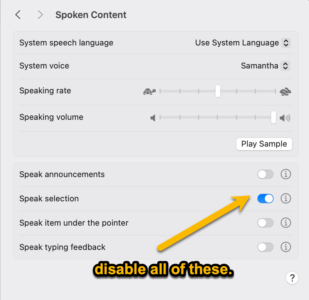 Spoken Content Settings